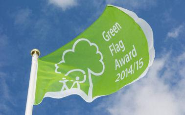 Green flag blowing in the wind